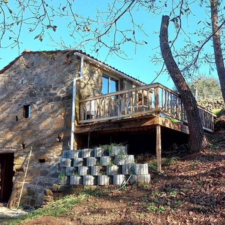 Апартаменты Cabana Do Carvalhal Педроган-Пекену Экстерьер фото